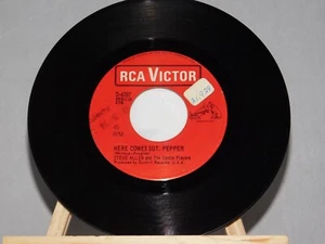 45 Steve Allen & The Gentle Players – Here Comes Sgt. Pepper / Flowers and Love - Picture 1 of 3