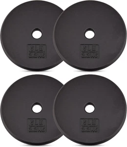 Placa de pesas de hierro fundido Yes4All estándar de 1" - Ideal para entrenamiento de fuerza - Multi - Imagen 1 de 12