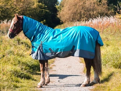 1200D Lightweight Turnout Horse Rug Waterproof Combo Full Neck Aqua/Grey - Image 1 of 4