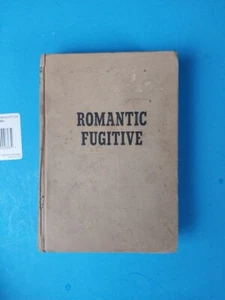 Romantic Fugitive by Sheila Burns Arcadia house publishing - Picture 1 of 4