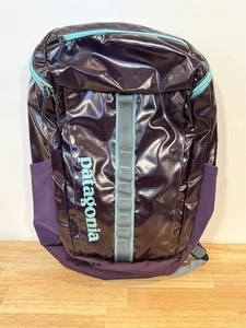 Patagonia Black Hole 25L Backpack Purple Blue Discontinued Rare New Without Tag - Picture 1 of 5