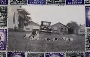 6" x 4" Postkartengröße ALTES FOTO & BRIEFMARKEN #10 Volkskunst Jeff Zenick - Bild 1 von 5