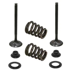 Psychic Exhaust Valve Kit for KTM 2003-2006 450, 525, 540 & 560 - Picture 1 of 1