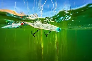 Señuelo de pesca Berkley Cane Walker 110 de agua dulce cebo duro de agua superior - Imagen 1 de 15