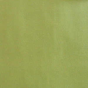 Basics Light Green by RBD Designers for Riley Blake, 1/2 yard fabric - Picture 1 of 1