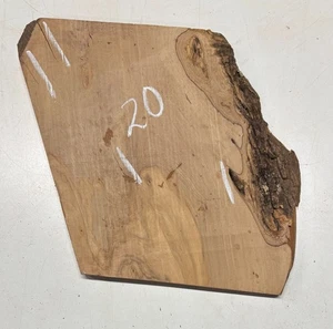 Olivenholz Live Edge 12x 9x 5/8 Drechselholz Rohling #20 - Bild 1 von 2