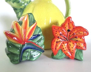 TROPICAL SALT & PEPPER SET Paradiesvogel und Hibiskus schöne Größe - Bild 1 von 4
