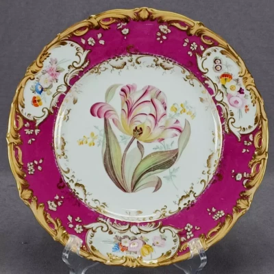 Coalport Hand Painted Botanical Floral Cranberry & Gold 9 1/4 Inch Plate E - Image 1 of 4