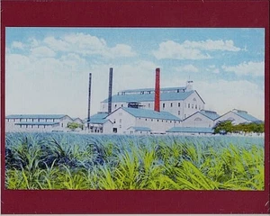 EWA PLANTATION MILL 1915? HAND COLORED B&W TO COLOR FOTO ON 8X10" MAT BOARD   - Picture 1 of 1
