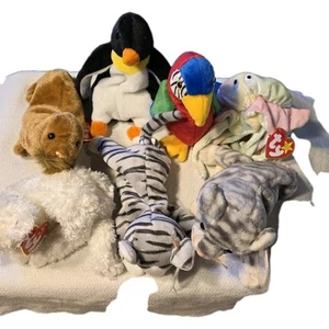 Beanie Baby peluche orsetti lotto di 7 stelle argento Paul Jabber Goochy Prance anni 90 - Foto 1 di 24