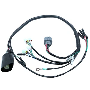 Wire Wiring Harness For Honda TRX300EX Sportrax 1993-2004 32100-HM3-000 - Picture 1 of 6