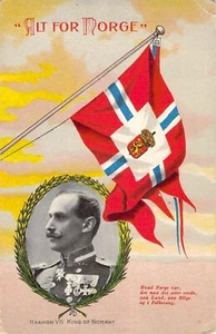 De colección 1900 Noruega Realeza Alt para Norge King Haakon VII Retrato Bandera Postal - Imagen 1 de 2