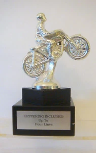 METALL MOTORRAD DIRTBIKE TROPHY, STRASSENMOTORRAD, MOTORRAD SHOW # 1 - Bild 1 von 3