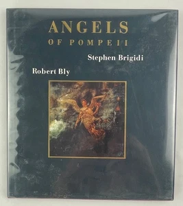 Angels of Pompeii, Brigidi / Bly, 1992, 1st Ed, Photography / Poetry, HCDJ - Picture 1 of 17