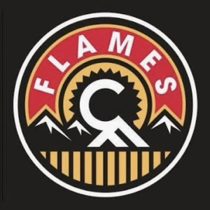 Calgary Flames Hockey Team Issued Postcards Trading Cards Various Seasons NHL - Picture 1 of 19