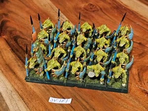 Warhammer Fantasy AOS Seraphon Saurus Warriors con lanzas pintadas fuera de existencia x20 JV181 - Imagen 1 de 24