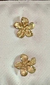 14K Solid Gold Hawaiian Plumeria Flower Stud Earrings - Yellow Gold - Picture 1 of 7