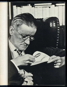 Richard ELLMANN★JAMES JOYCE★1. Aufl. Zürich 1959★Hardcover★mit 16 Tafeln★GUT++★ - Picture 1 of 5