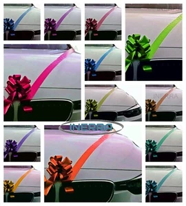Kit de decoración de coche de boda - 3 arcos ya hechos + cinta de 7 m - Imagen 1 de 22