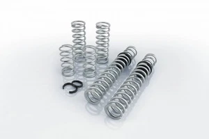 Eibach Pro-UTV Stage 2 Springs (2019-2020) Honda Talon 1000R - Picture 1 of 1