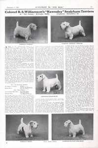 SEALYHAM TERRIER OUR DOGS 1930 RAWNSLEY KENNEL DOG BREED ADVERT PAGE b217 - Picture 1 of 1