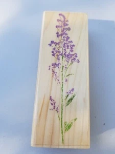 2002 rubber stampede 2875F Solidago Sprig rubber stamp 1.25" x 4.5" - Picture 1 of 3