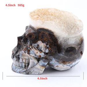 4.5'' Natural Geode AGATE Carved Realistic - Skulls Gemstone & Crystal - Picture 1 of 11
