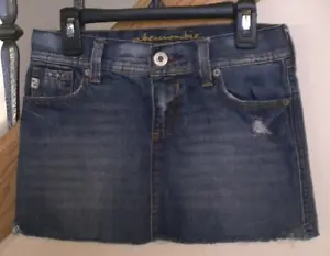 Abercrombie Authentic Vintage  Jean Skirt Girls' Size 10 - Picture 1 of 9