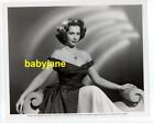 Piper Laurie Original 8X10 Photo Lovely Fashion Portrait 1952 Universal Pictures