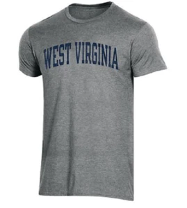NUEVA Camiseta Grande Champion Para Hombre NCCA West Virginia Mountaineers School Pride - Imagen 1 de 2