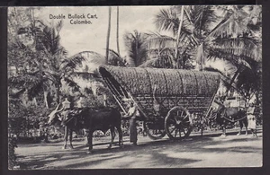 CEYLON COLOMBO 1923 DOUBLE BULLOCK CART POSTCARD KGV 10c & 2c Stamps SWITZERLAND - Bild 1 von 2