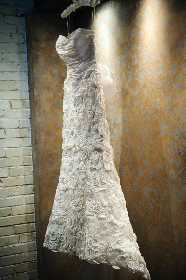 Amsale Penelope свадебное платье и вуаль, профессионально очищенный, размер 8 / маленький - Изображение 1 из 4