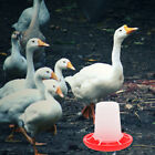 Plastic Automatic Chicken Feeders & Waterers for & Birds-BY