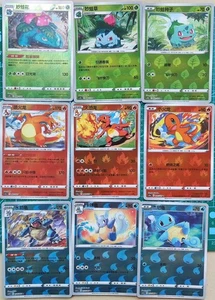 EN STOCK Pokemon Chino 9 Cartas Charizard Blastoise Venusaur Charmander Holo Casi Nuevo - Imagen 1 de 4