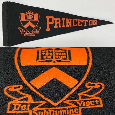 1950's Vintage Princeton Tigers University Mini Pennant 3.5x8.75 Ivy League Cover