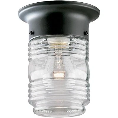 Westinghouse Lighting 6691900 tarro de gelatina de una luz luz luz de porche, negro mate Foto 1 de 3