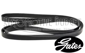 Serpentine Belt for Ferrari FF GTC4 & Maserati Ghibli Levante Quattroporte - NEW - Foto 1 di 1