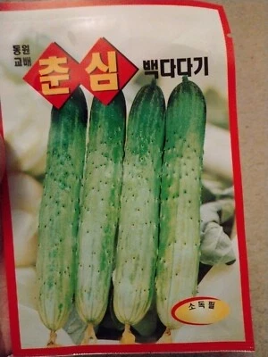 Korean Cucumber 1 Pack seeds Asian White Green Sweet Crisp  Cucumber kimchi  - Image 1 of 2