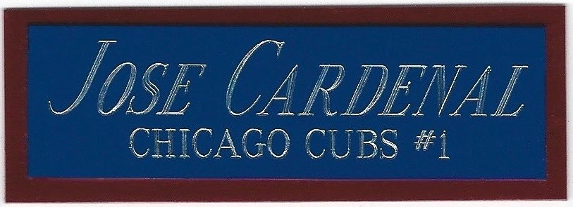 PLACA DE IDENTIFICACIÓN DE LOS CACHORROS DE CARDENAL AUTOGRAFIADA FIRMADA BATE-BÉISBOL-CAMISETA-FOTO-GORRA Foto 1 de 1