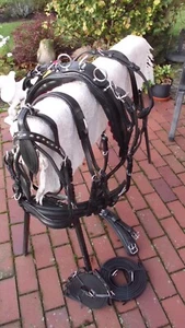 1-spänner Brustblattgeschirr Gr.Mini Mini-Shetty mit Quick Relaise,schwarz - Bild 1 von 7