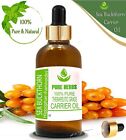 Pure Herbs Sea Buckthorn100% Pure & Natural Hippophae Rhamnoides Carrier Oil