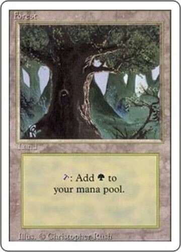 Forest (Eyes)  3rd Edition Revised MTG NM - Image 1 of 1