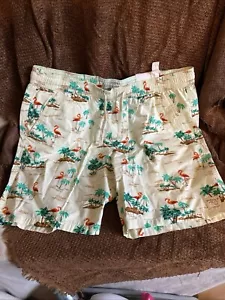 Neu mit Etikett Cactus Man Ricky Singh Flamingo Shorts – Herrengröße XL - Bild 1 von 7