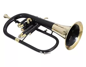 Flugel Horn Bb Black +Brass Finish+ Free Case + MouthPiece+ - Picture 1 of 1