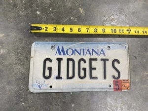 Montana MT Nummernschild Anhänger Vanity 2000 Big Sky GIDGETS Sprossenwand Kunst Männerhöhle - Bild 1 von 8