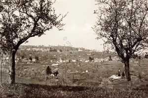 Cartolina - Un Saluto da Cerano - Giuslino e Veglio - Valle Intelvi - 1959 - Foto 1 di 2