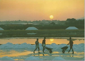 CARTOLINA SICILIA SICILY POSTCARD MARSALA SALINE AL TRAMONTO SALINA - Bild 1 von 1