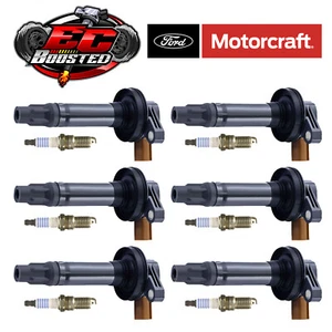 MOTORCRAFT Iridium Spark Plug + Engine Ignition Coil Set For Ford F-150 3.5L V6 - Picture 1 of 6