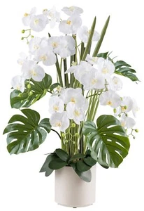 Phalaenopsisarrangement 110cm Bianco, Reale Toccare Im Pot Plastica 22x22cm - Foto 1 di 2