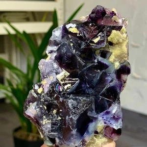 356G Natural purple Phantom Cube fluorite mineral Crystal specimen/Yaogangxian - Picture 1 of 20